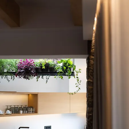Opal Executive Hotel