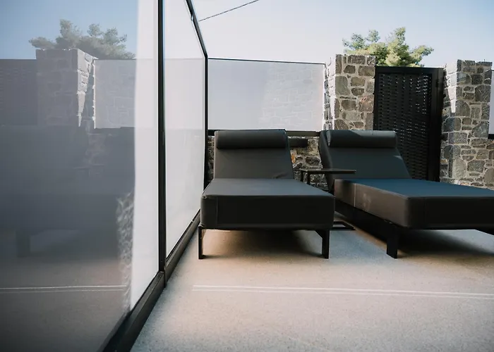 Opal Executive Anabolu